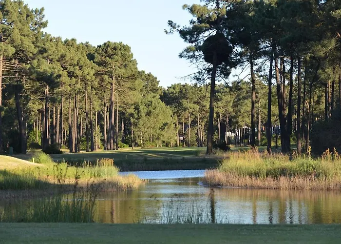 My - Aroeira Golf &
